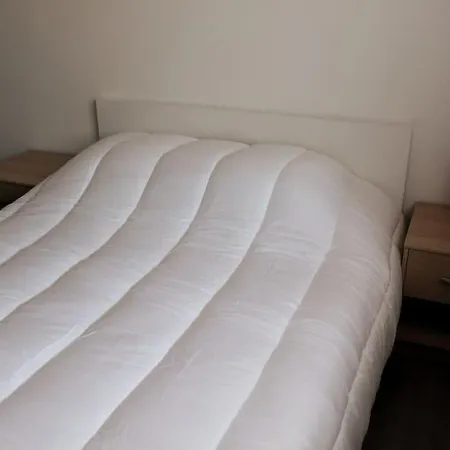 Les Tilleuls Piscine Ete 2026 Appartement Scherwiller