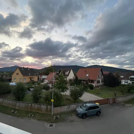 Les Tilleuls Piscine Ete 2026 アパート Scherwiller