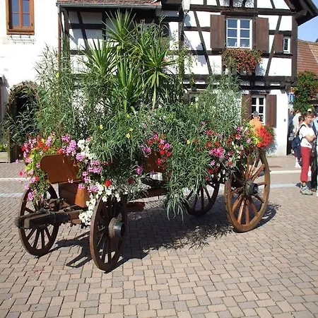 Les Tilleuls Piscine Ete 2026 *