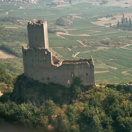 Les Tilleuls Piscine Ete 2026 Scherwiller