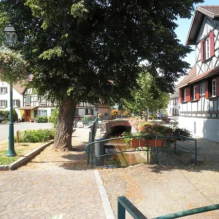 Les Tilleuls Piscine été 2026